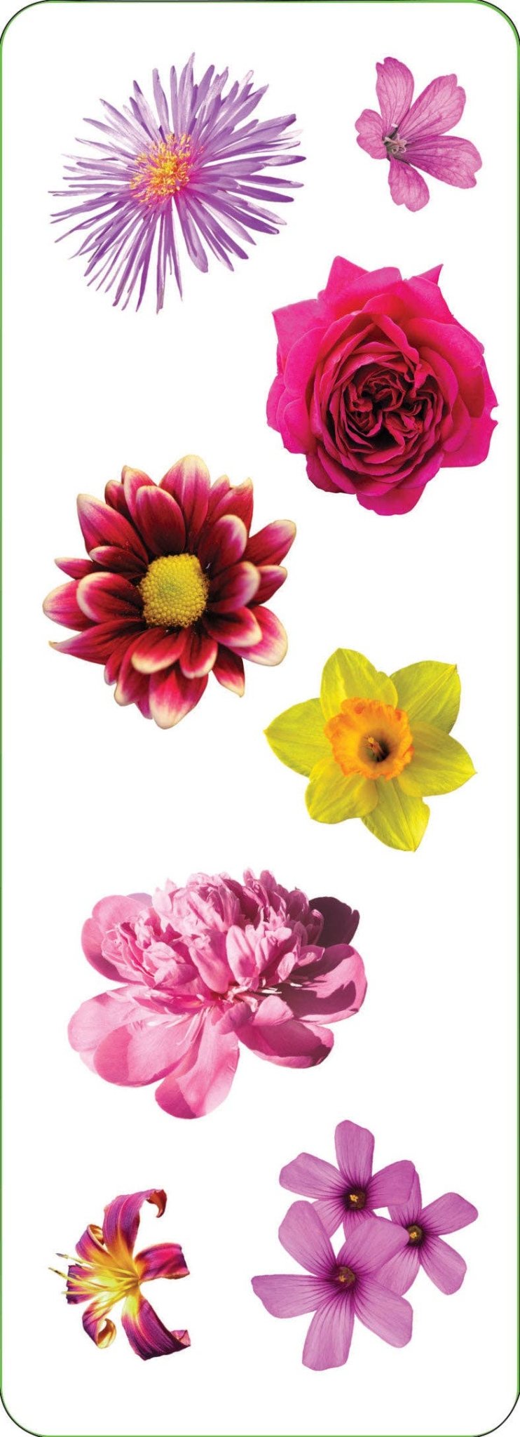 Flowers Sticker Set - Market 12