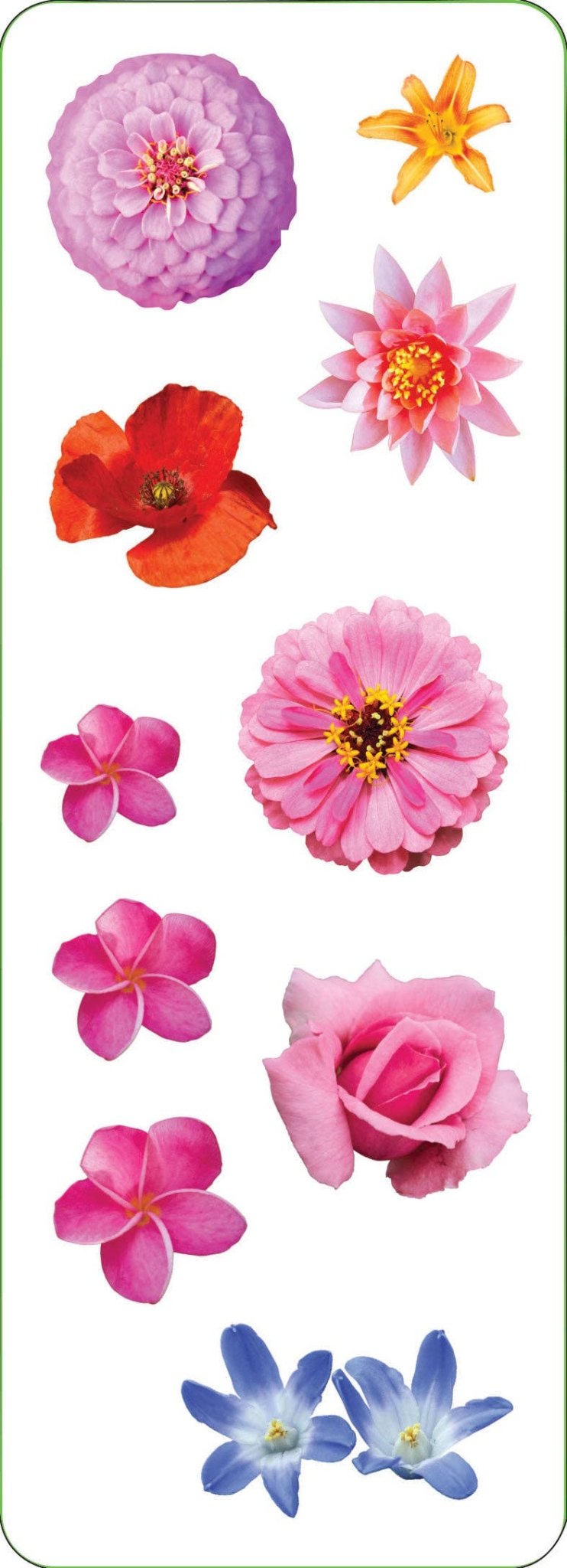 Flowers Sticker Set - Market 12