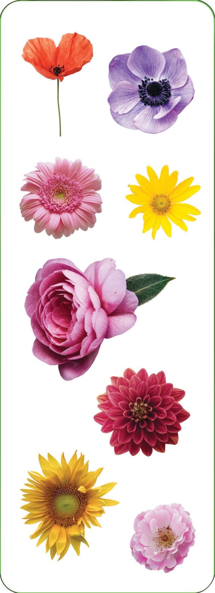 Flowers Sticker Set - Market 12