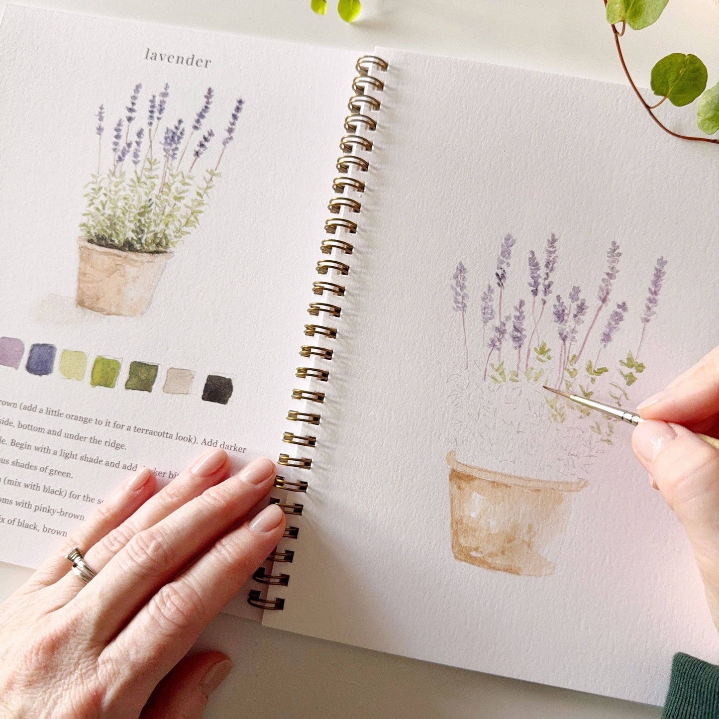 Garden watercolor workbook - Market 12