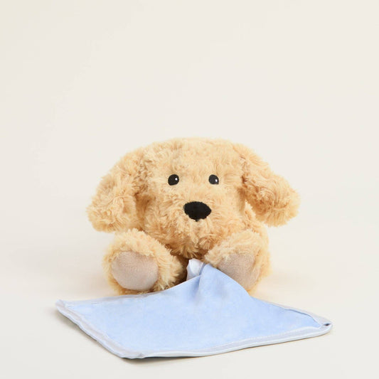 Golden Dog Warmies Blanket - Market 12