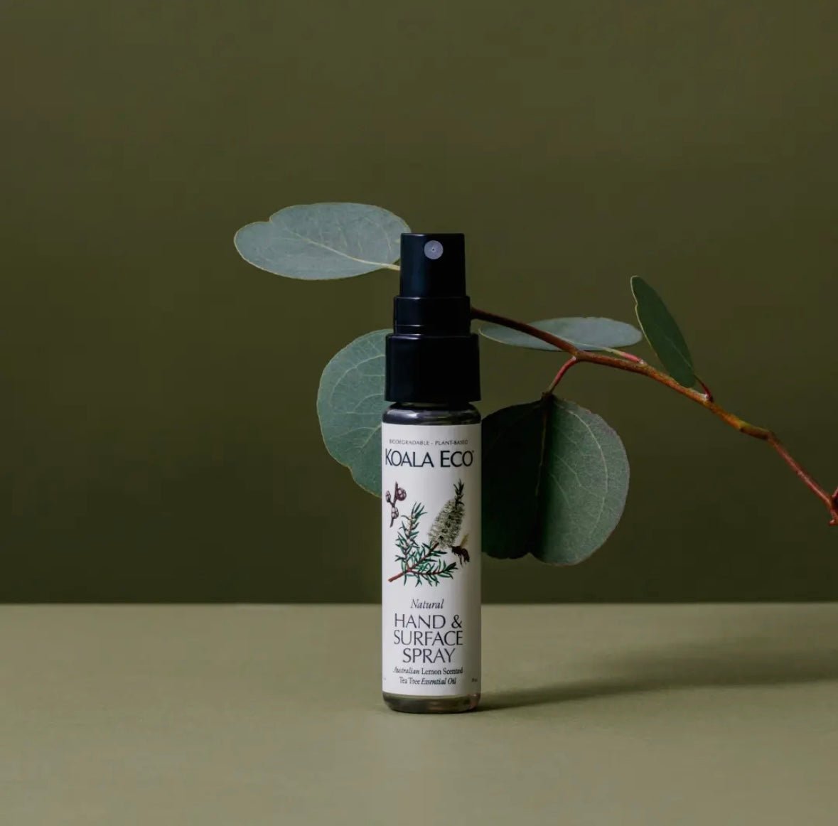 Hand Sanitizer Spray - Market 12