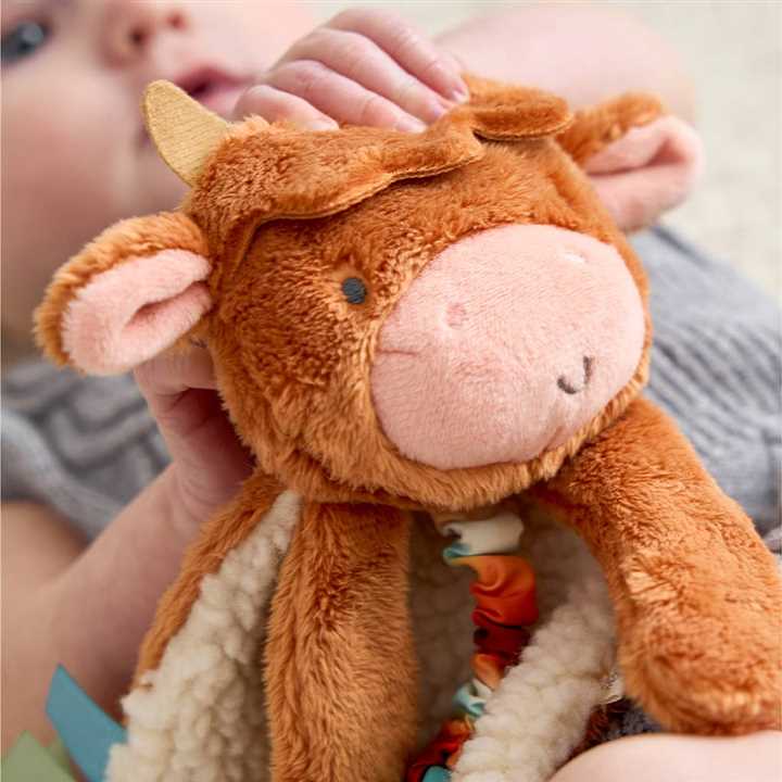Highland Cow Itzy Friends Love Plush - Market 12