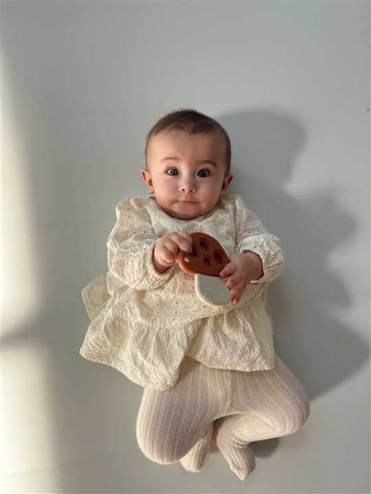 Itzy Mushroom Pop - Market 12