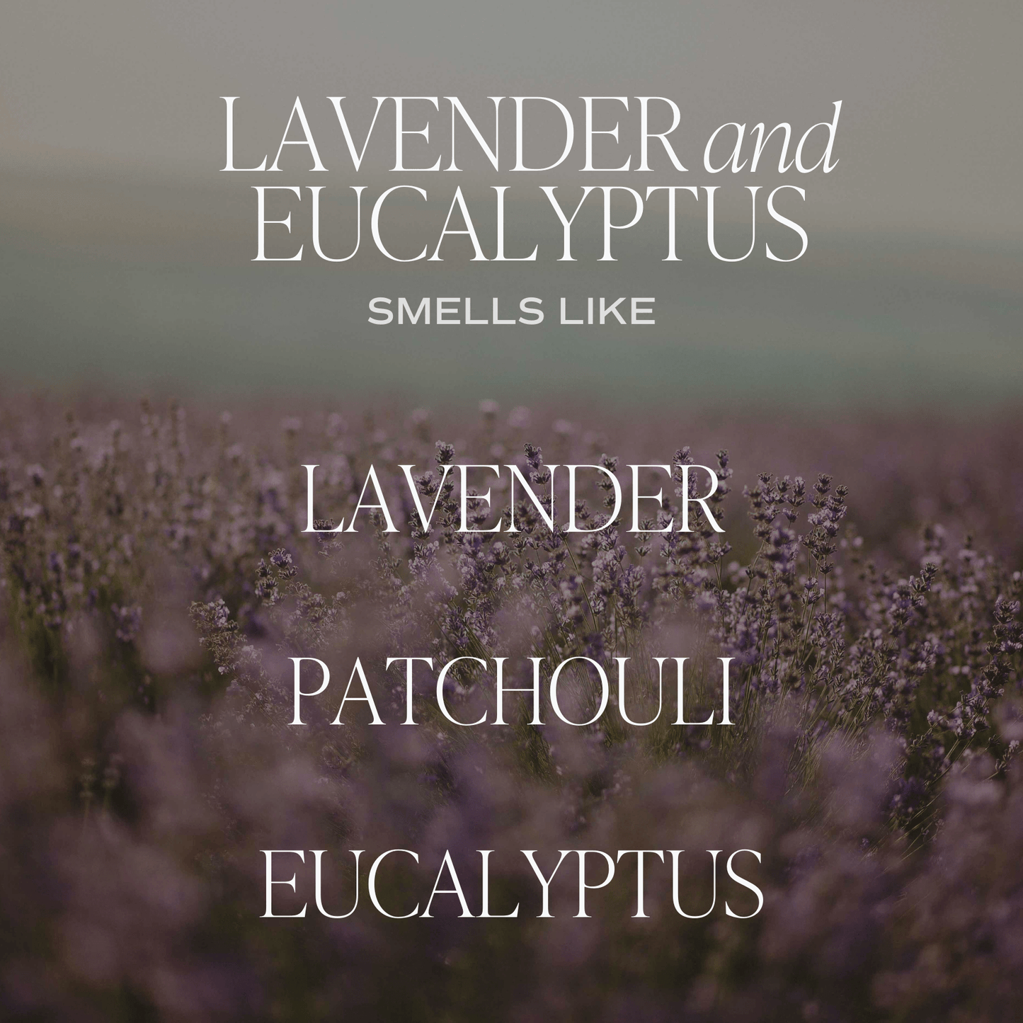Lavender and Eucalyptus 9 oz Soy Candle - Home Decor & Gifts - Market 12