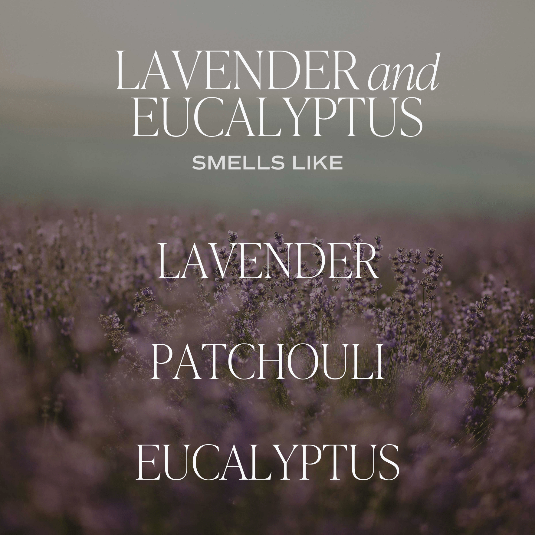 Lavender and Eucalyptus 9 oz Soy Candle - Home Decor & Gifts - Market 12