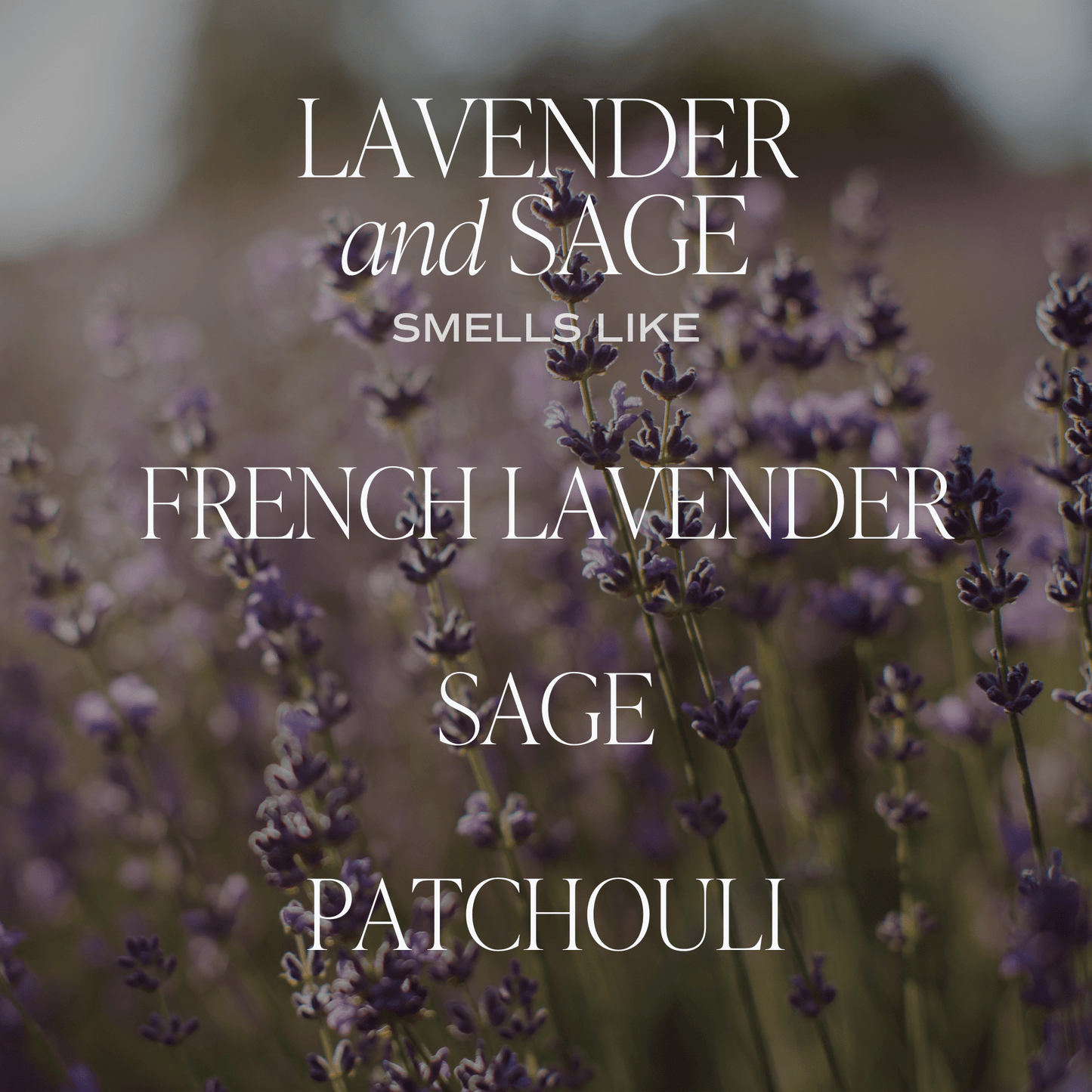 Lavender+Sage 9 oz Soy Candle - Home Decor & Gifts - Market 12