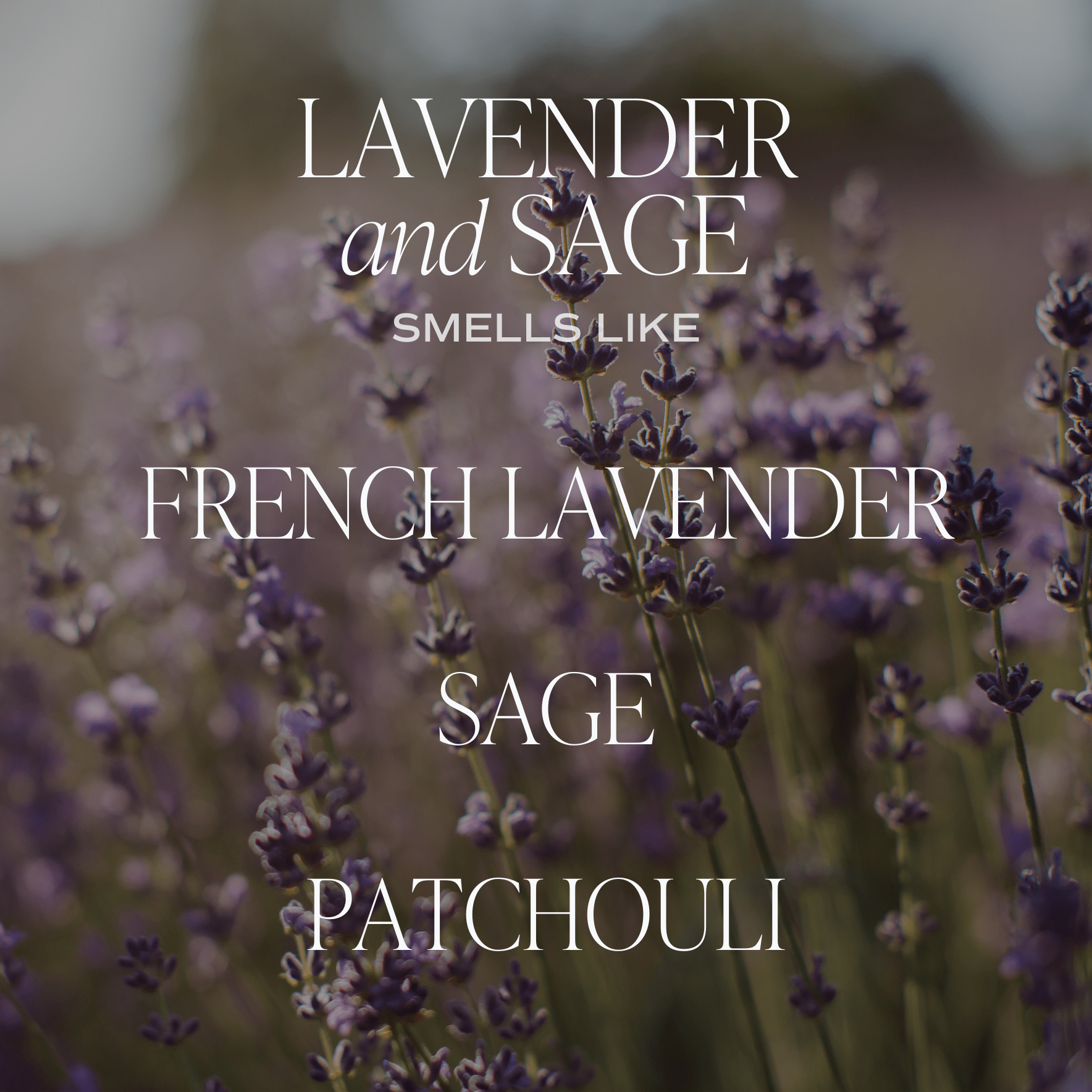 Lavender+Sage 9 oz Soy Candle - Home Decor & Gifts - Market 12