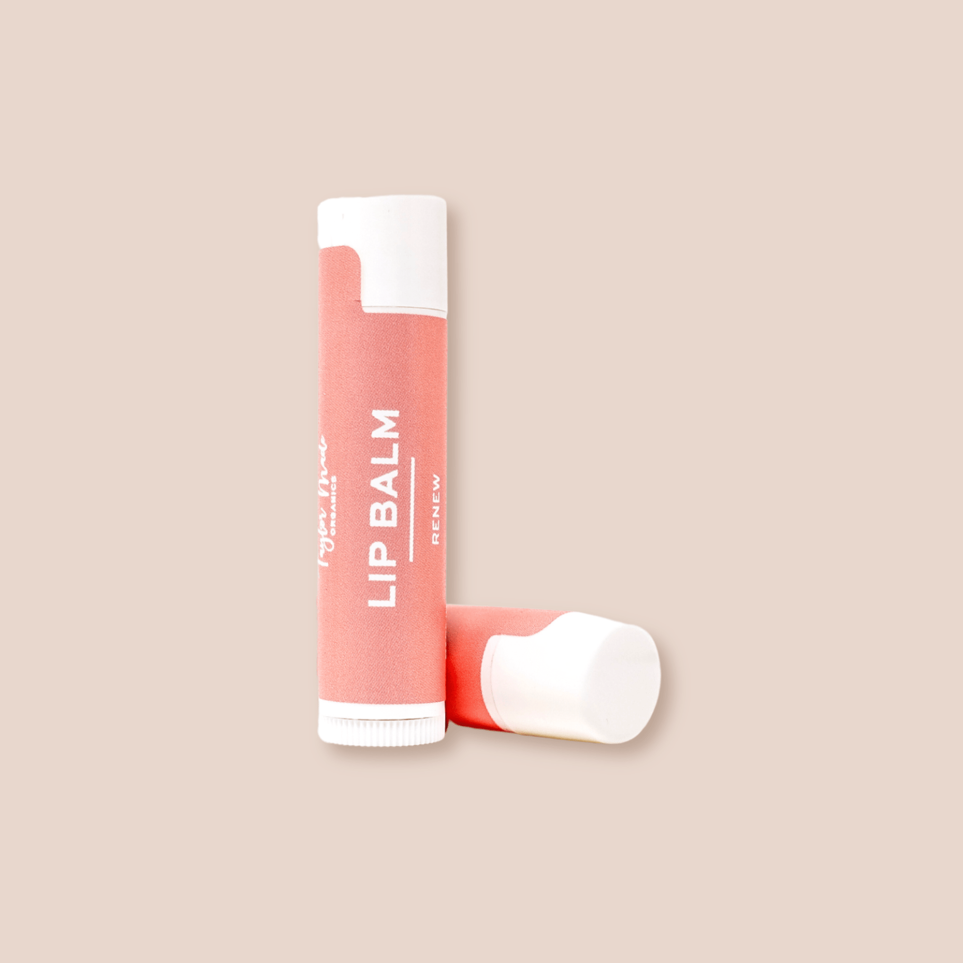 Lip Balms Organic | cocoa + shea butter: Citrus - Market 12