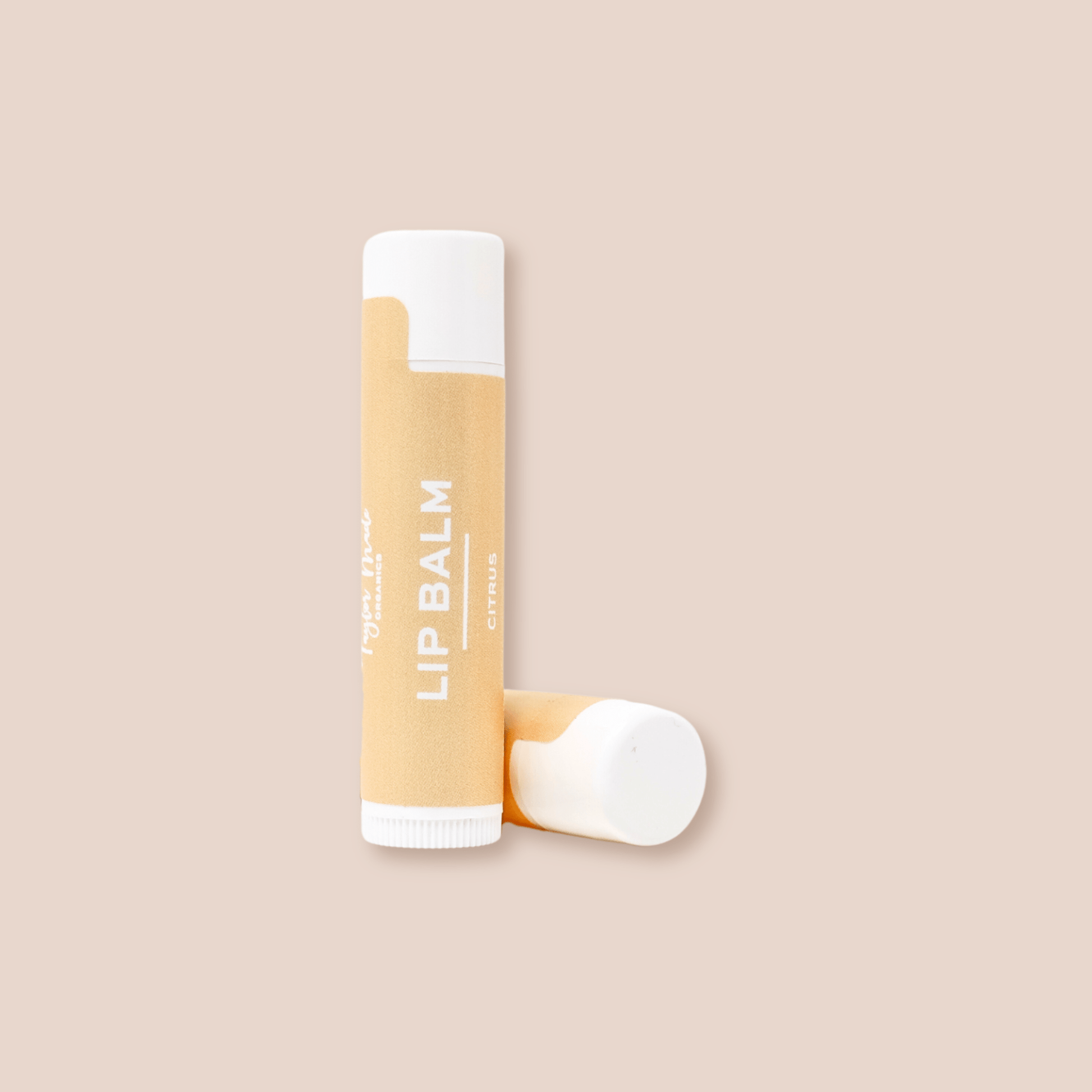 Lip Balms Organic | cocoa + shea butter: Mint julep - Market 12
