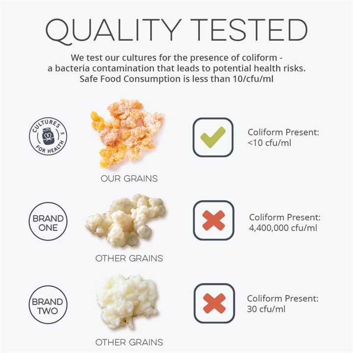 Milk Kefir Grains, Probiotic Rich,Gut Friendly - Market 12