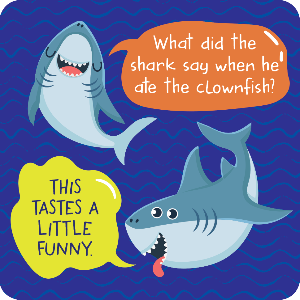 More Lunch Box Jokes Card Deck (Set of 60 cards) - Market 12