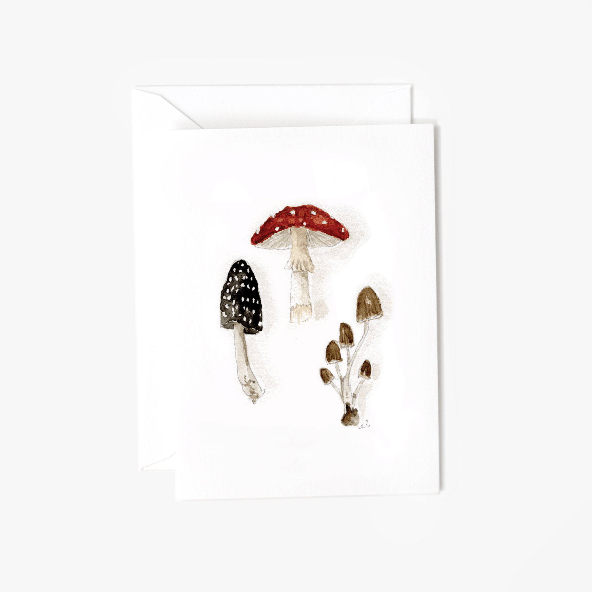 Mushrooms mini notecard - Market 12