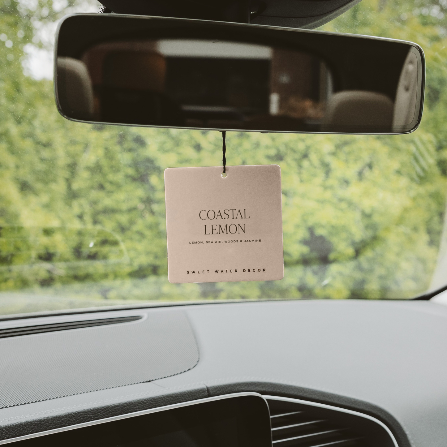 Coastal Lemon Hanging Air Freshener - Gifts