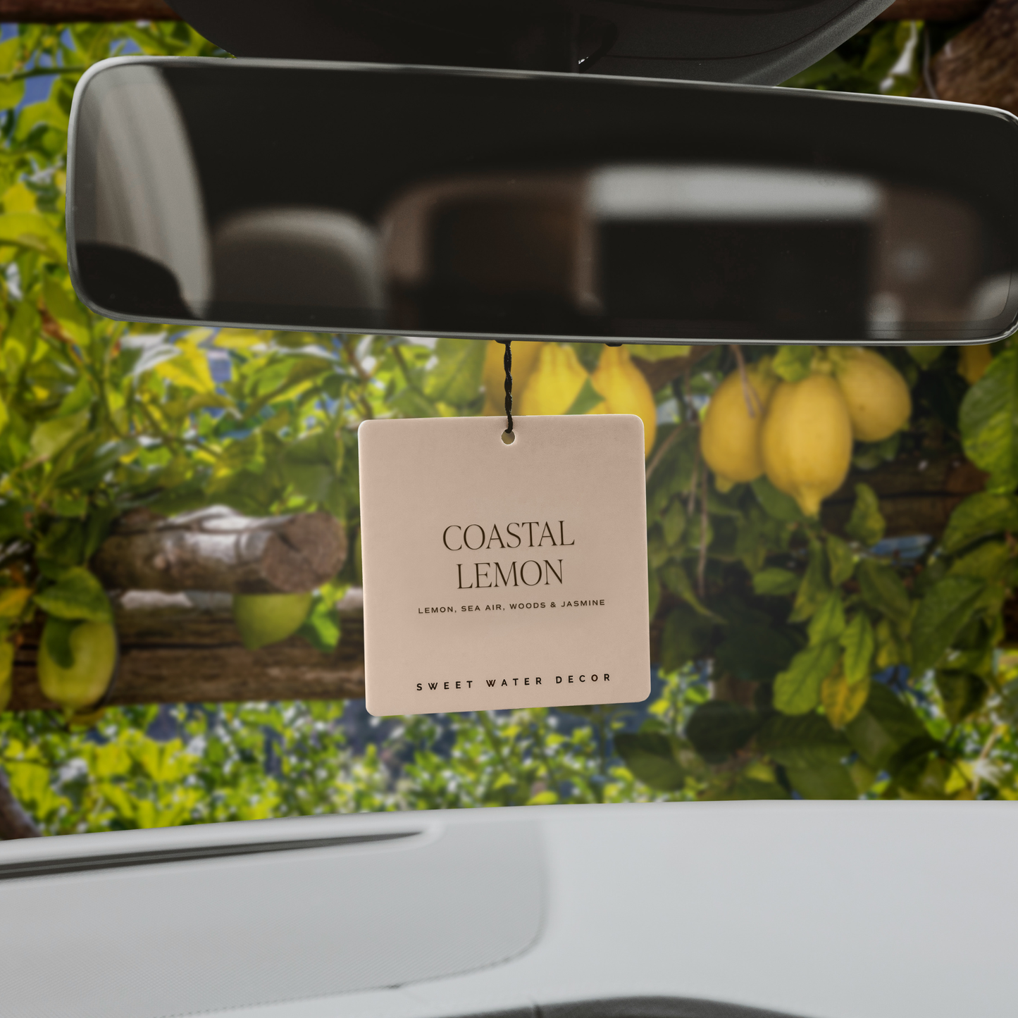 Coastal Lemon Hanging Air Freshener - Gifts