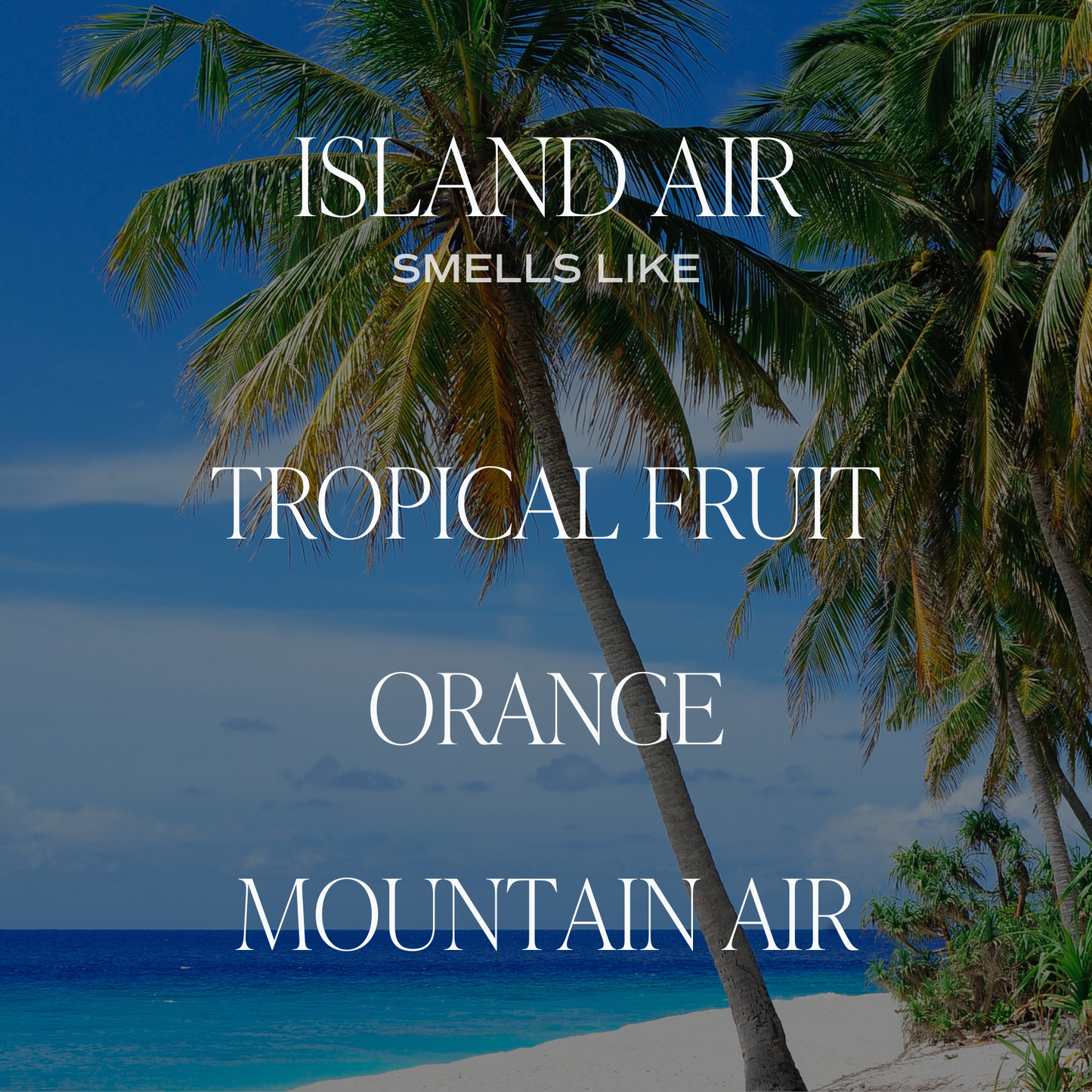 Island Air Hanging Air Freshener -