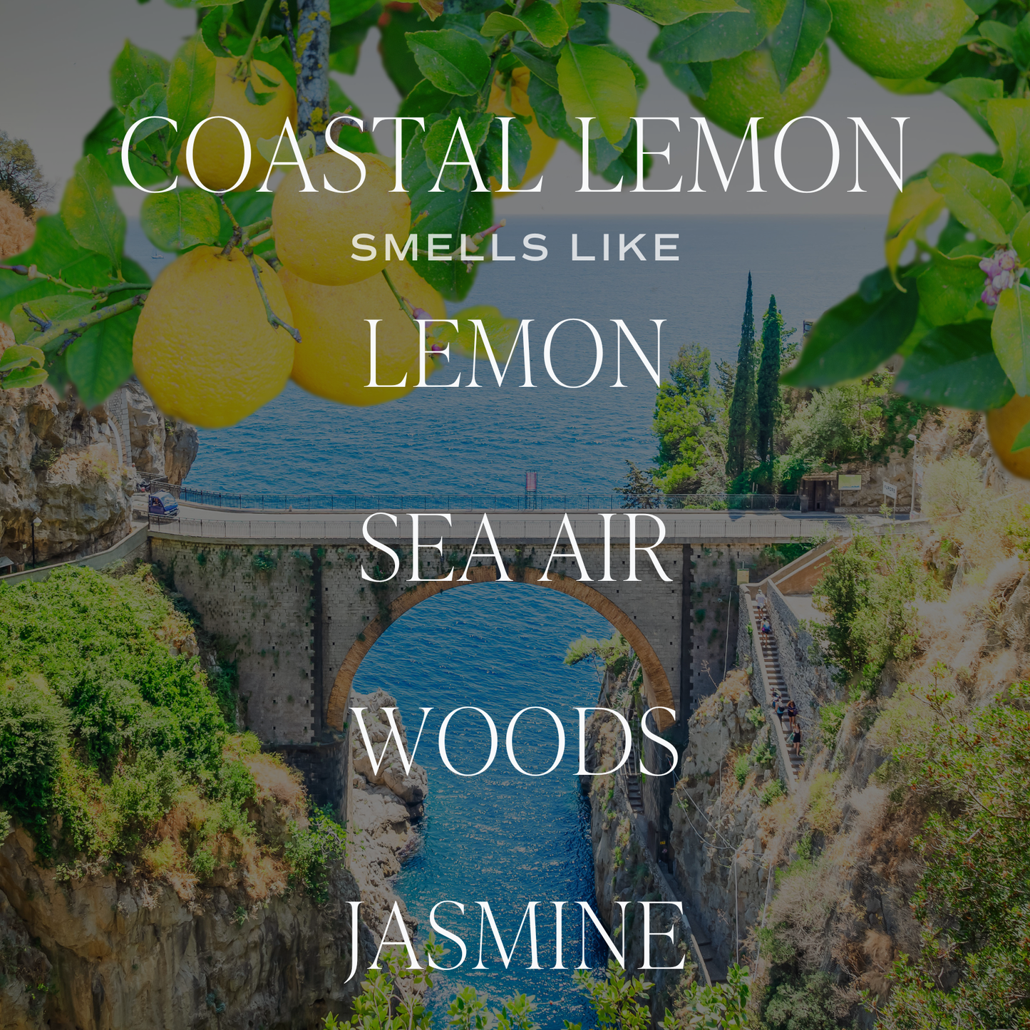 Coastal Lemon Reed Diffuser 3.5-ounce