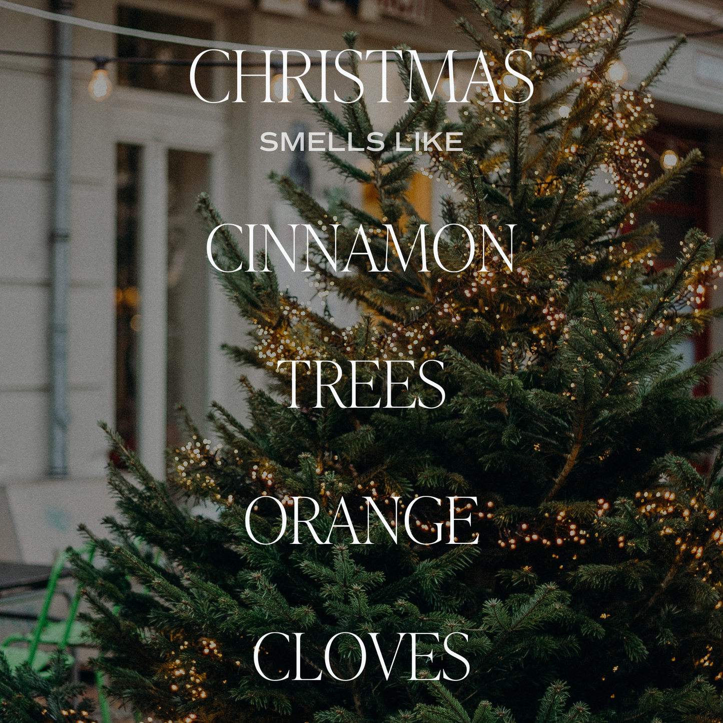 Christmas Amber Reed Diffuser -