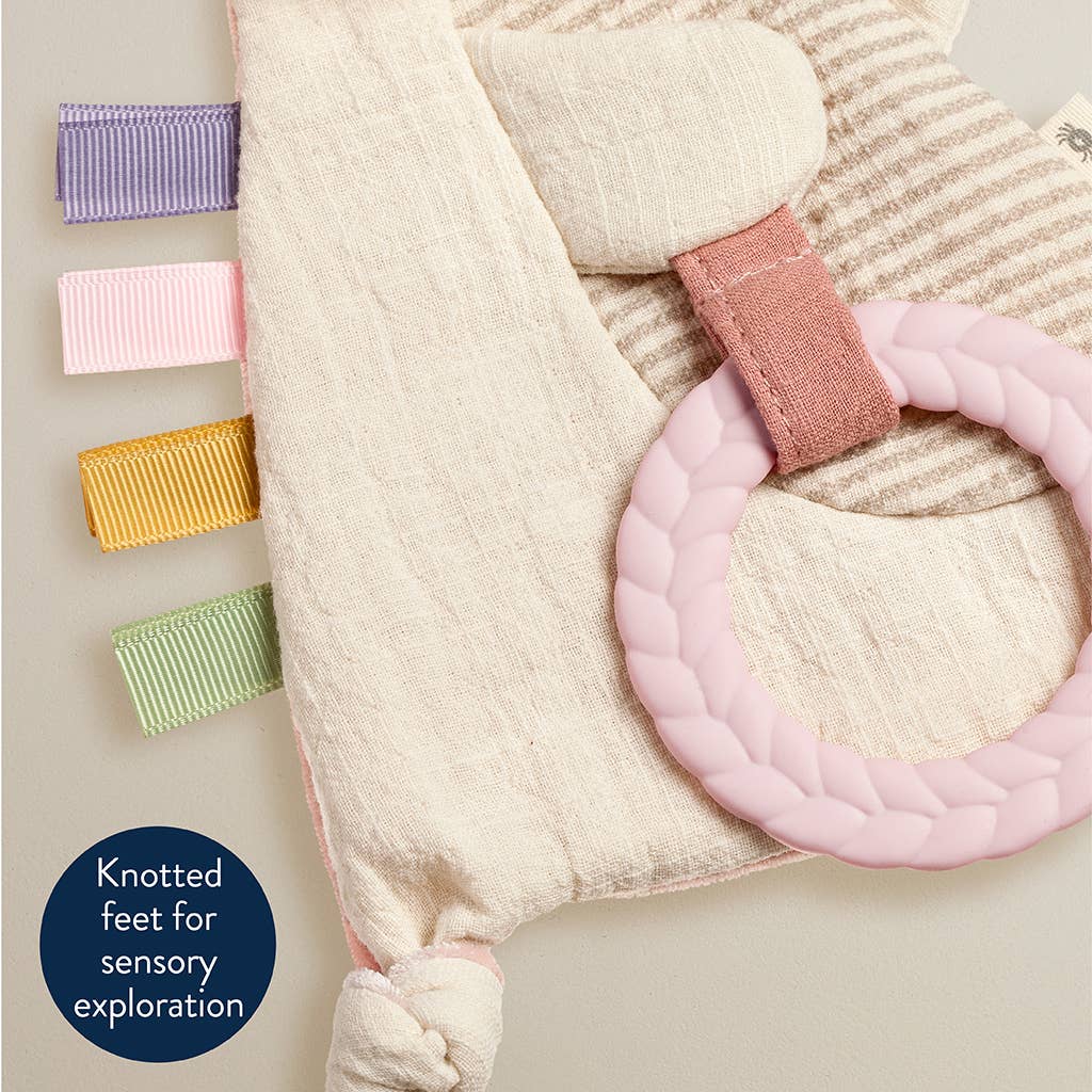 Koala Bitzy Crinkle™ Sensory Toy with Teether