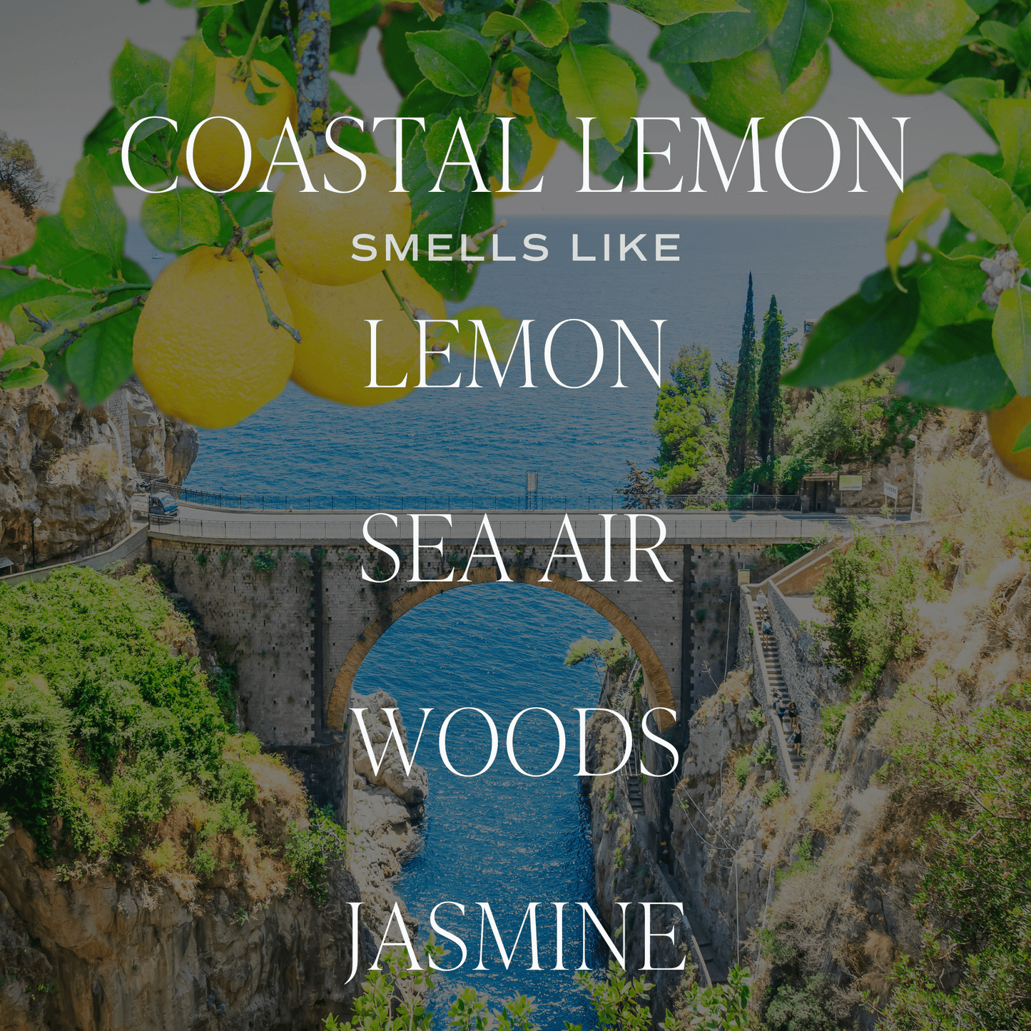 Coastal Lemon Hanging Air Freshener - Gifts