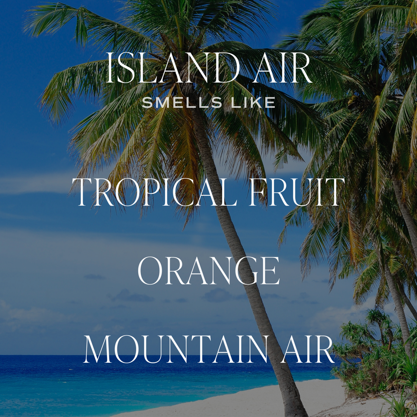 Island Air Reed Diffuser - Home Decor & Gifts