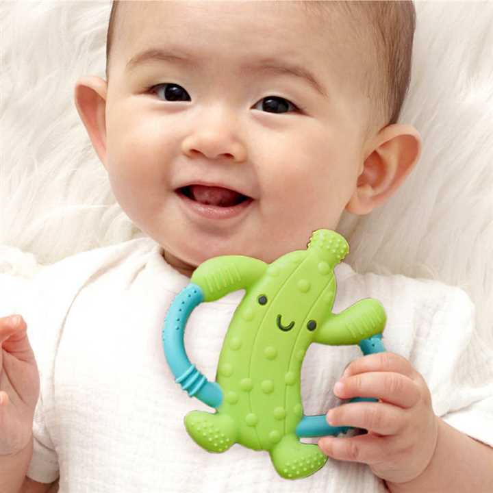 Pickle Chew Crew, Baby Teether - Market 12