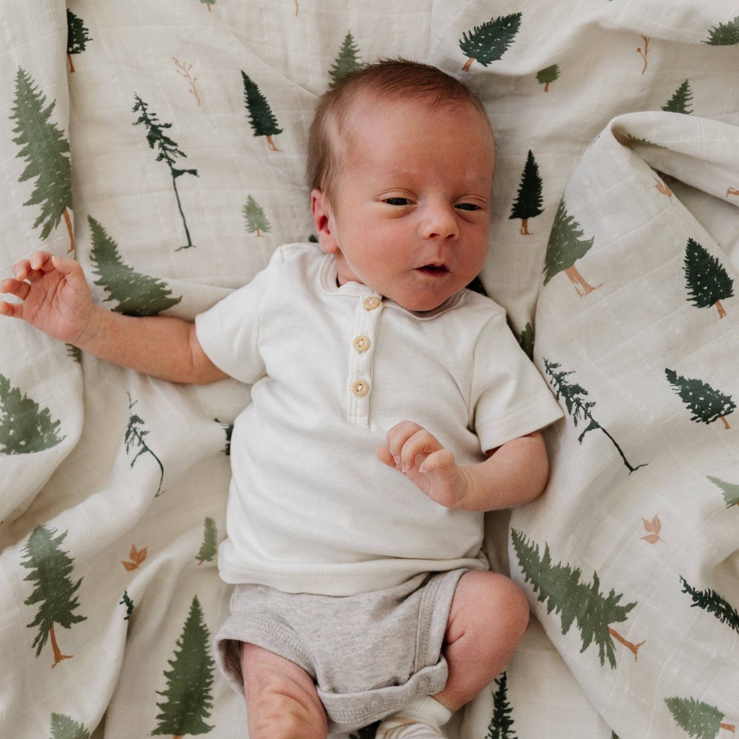 Pine COTTON MUSLIN 2 PACK SWADDLES - Market 12