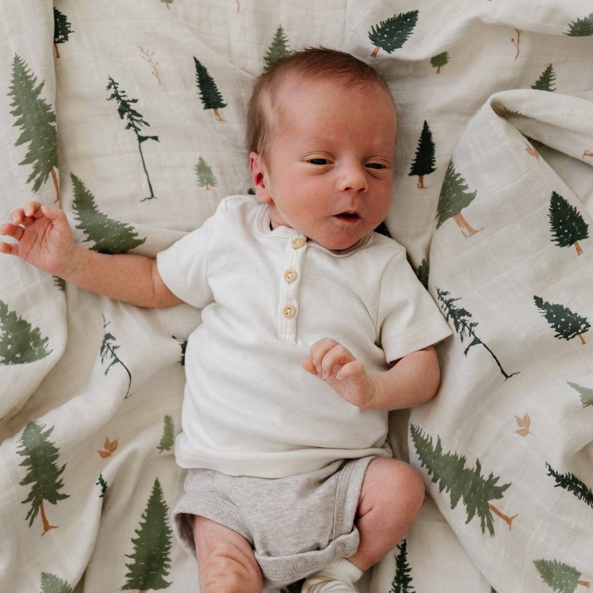 Pine COTTON MUSLIN 2 PACK SWADDLES - Market 12