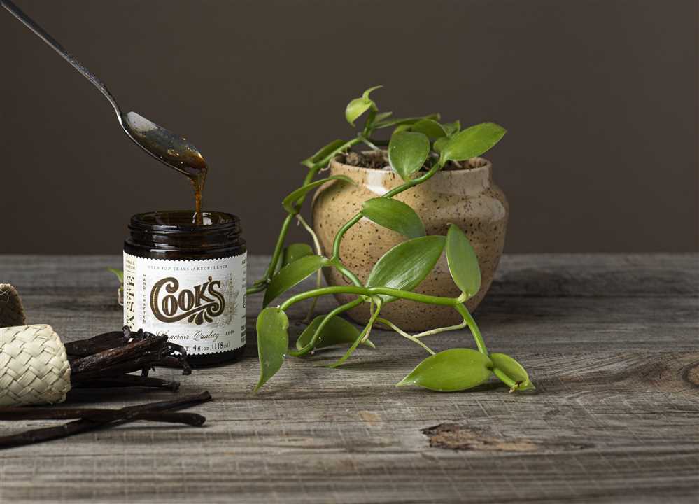 Pure Vanilla Bean Paste - Market 12