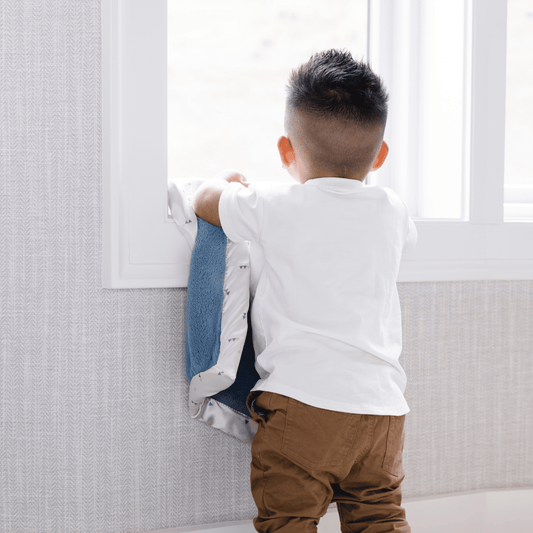 Sea Glass Luxury Satin Border Mini Blanket - Market 12