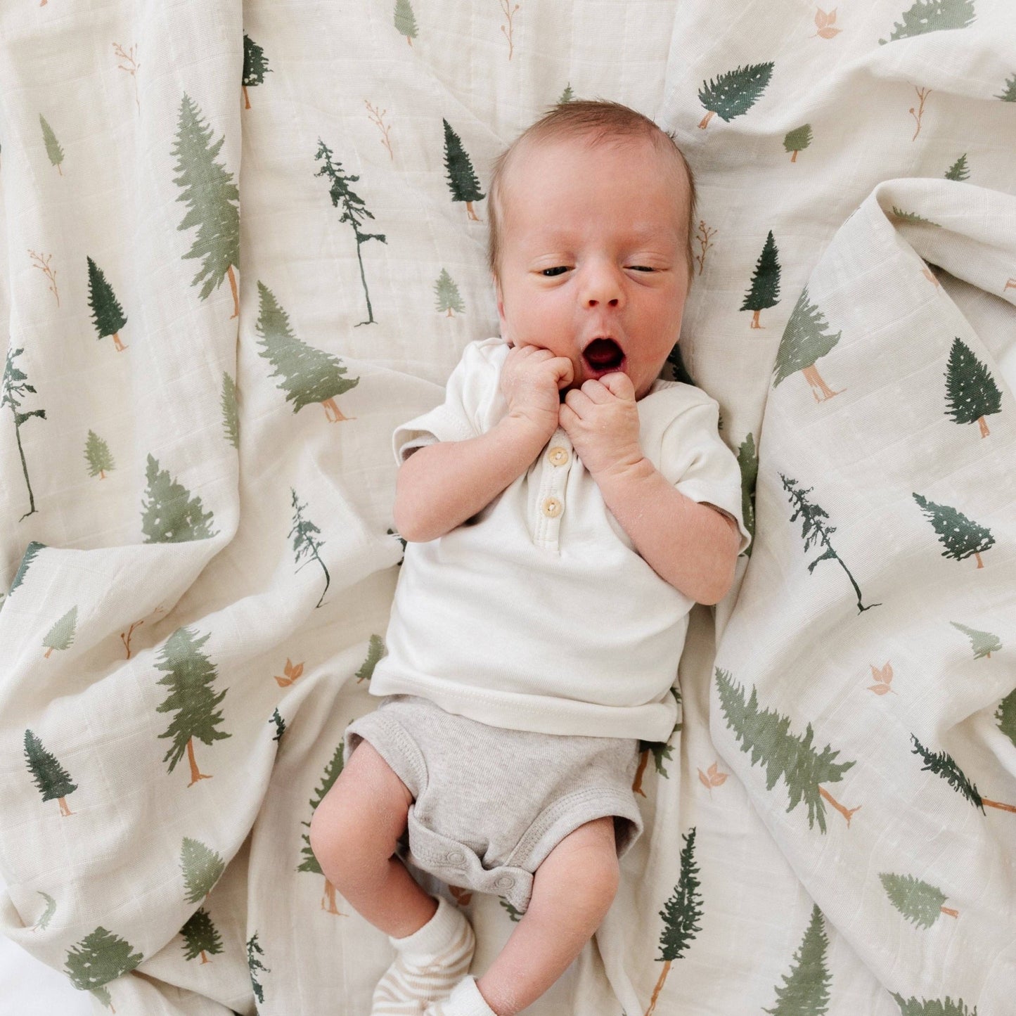 Simple Buds COTTON MUSLIN 2 PACK SWADDLES - Market 12