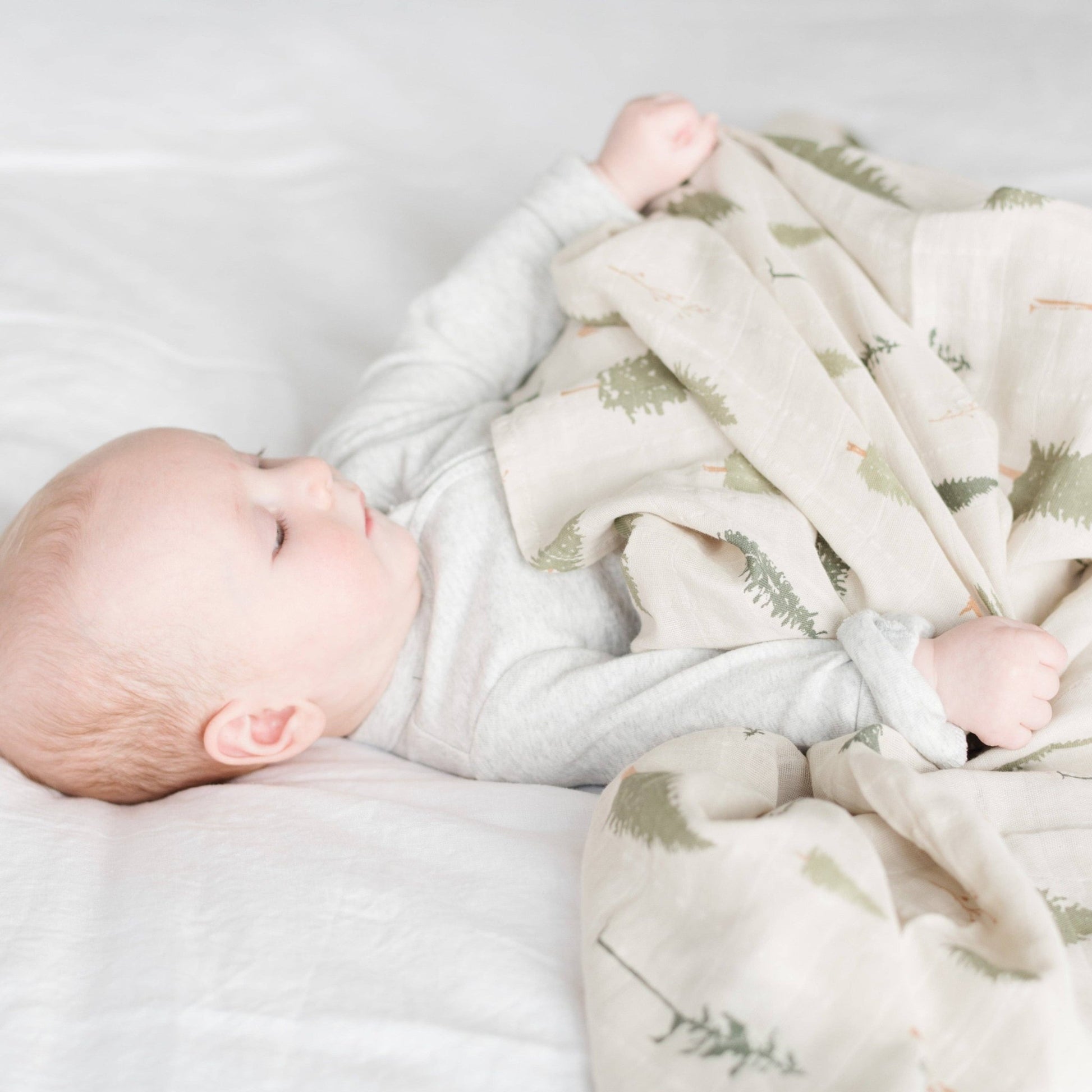 Simple Buds COTTON MUSLIN 2 PACK SWADDLES - Market 12