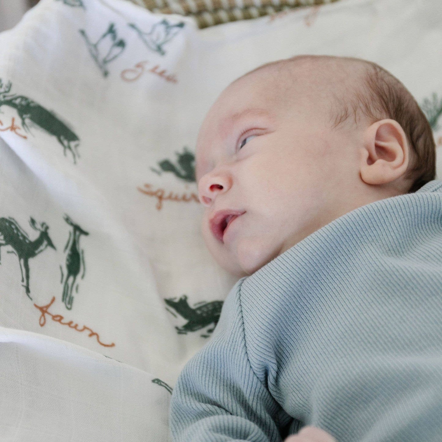 Starry Night BAMBOO RAYON MUSLIN SWADDLES: - Market 12