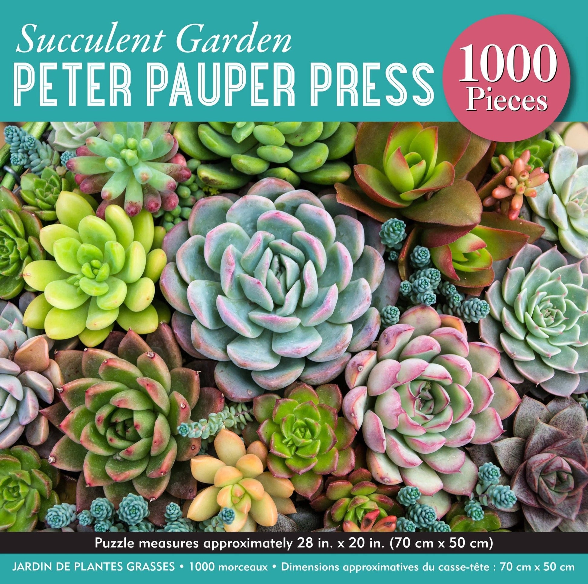 Succulent Garden 1000 Piece Jigsaw Puzzle - Market 12