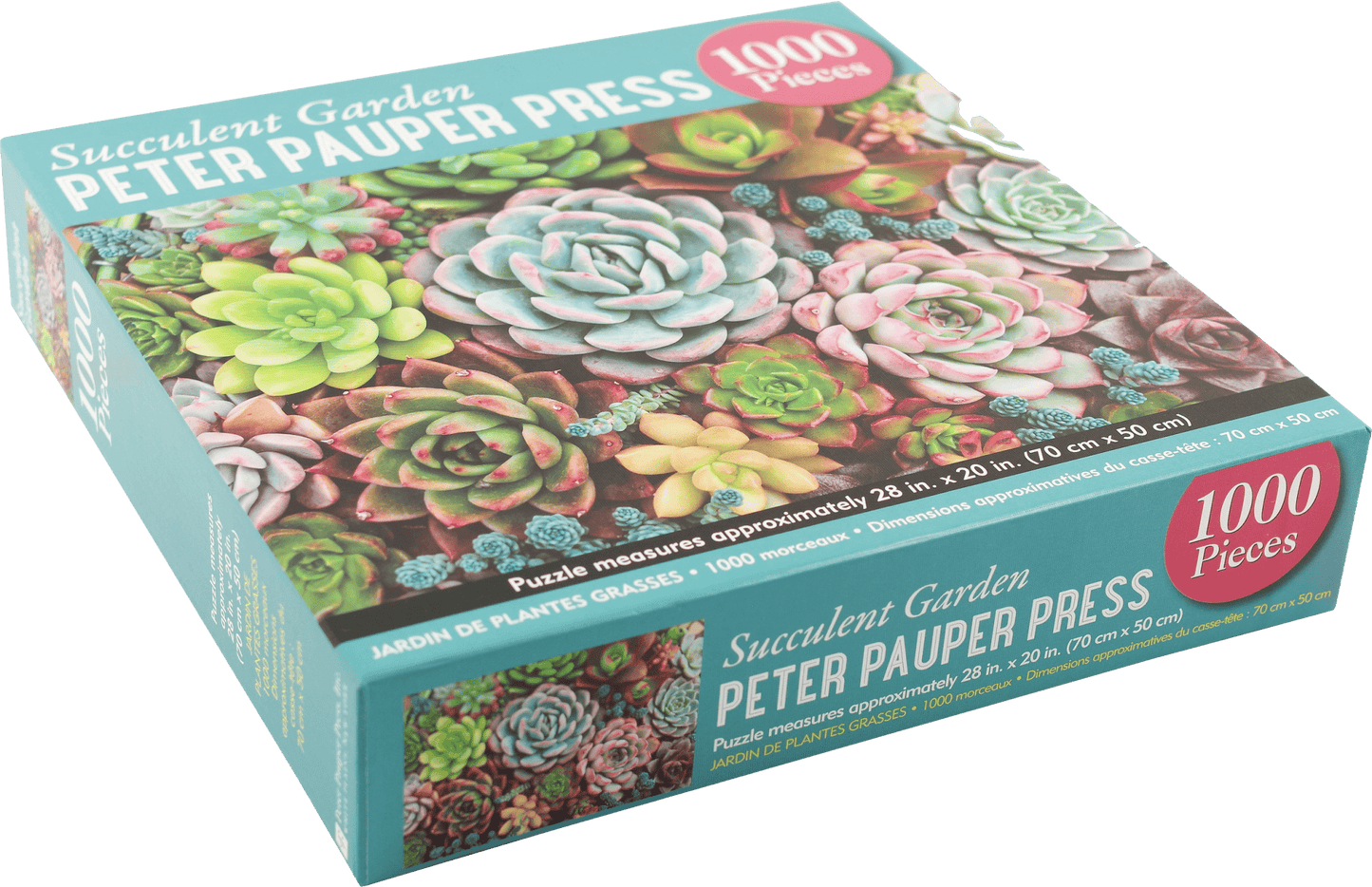 Succulent Garden 1000 Piece Jigsaw Puzzle - Market 12