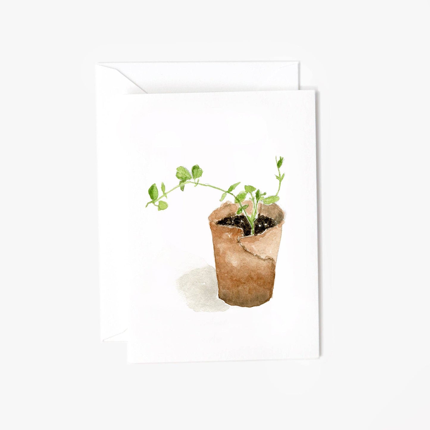 Sweet pea mini notecards - Market 12