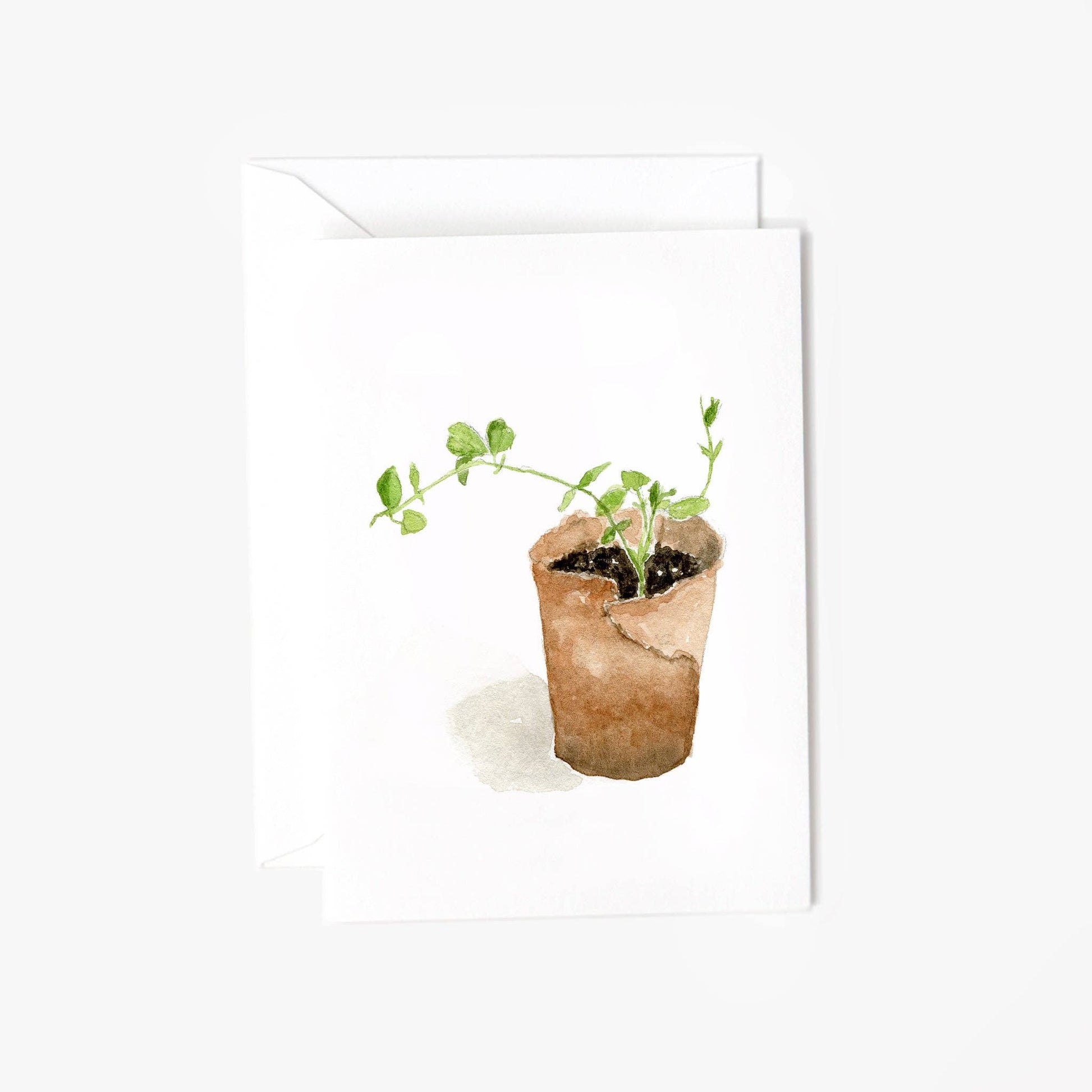 Sweet pea mini notecards - Market 12