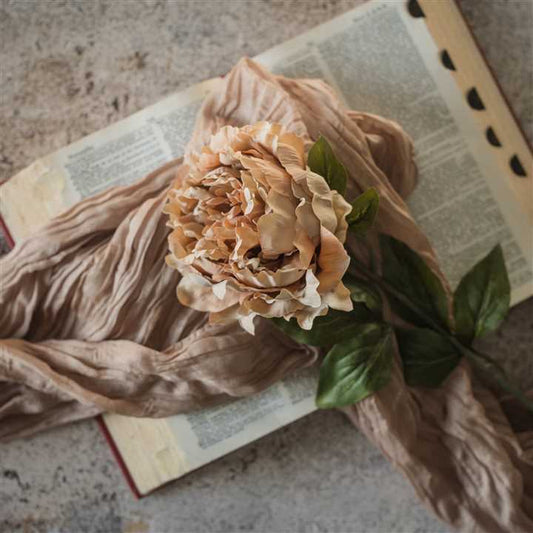 Tan Peony Stem - Market 12