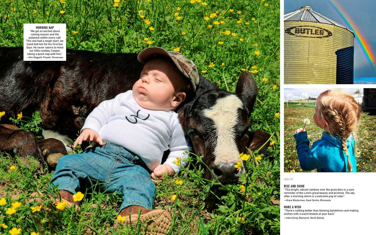 Taste of Home Farmhouse Favorites by: Hardcover - Market 12