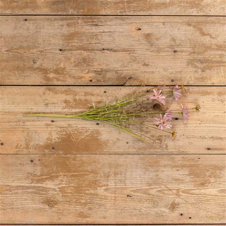 Violet Wildflower Spray - Market 12