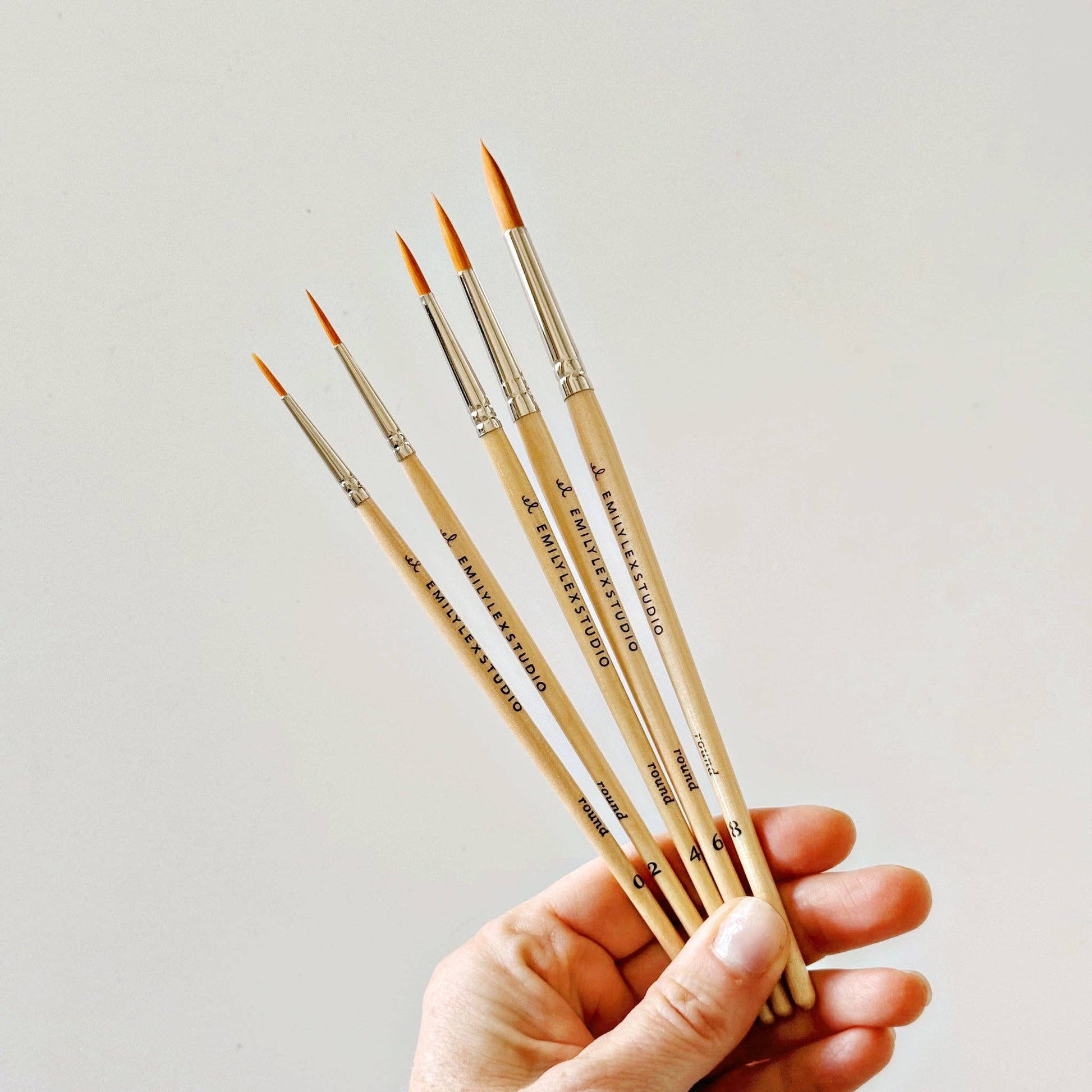 Watercolor paintbrush set of five wood brushes - Market 12